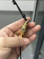 GR Factory Patek Philippe 5196J-001 Calibre 215 Case diameter: 37mm Replica - 图片 5